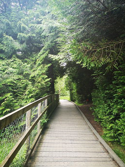 Wicklow Nationalpark Wege